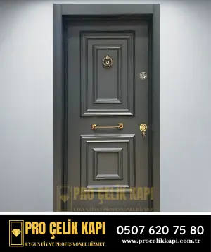 Kiraz Çelik Kapı - Plus 17