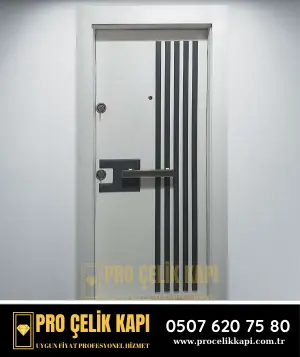 Kiraz Çelik Kapı - Plus 3